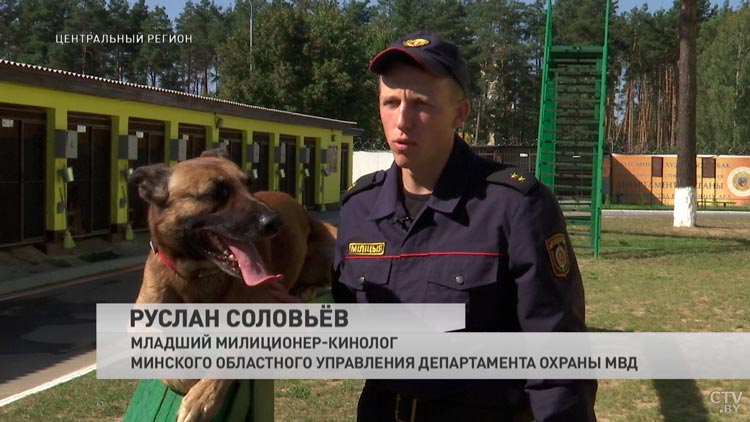 Учат команды, дрессируют собак. Как готовят начинающих кинологов?-13 Учат команды, дрессируют собак. Как готовят начинающих кинологов?-13