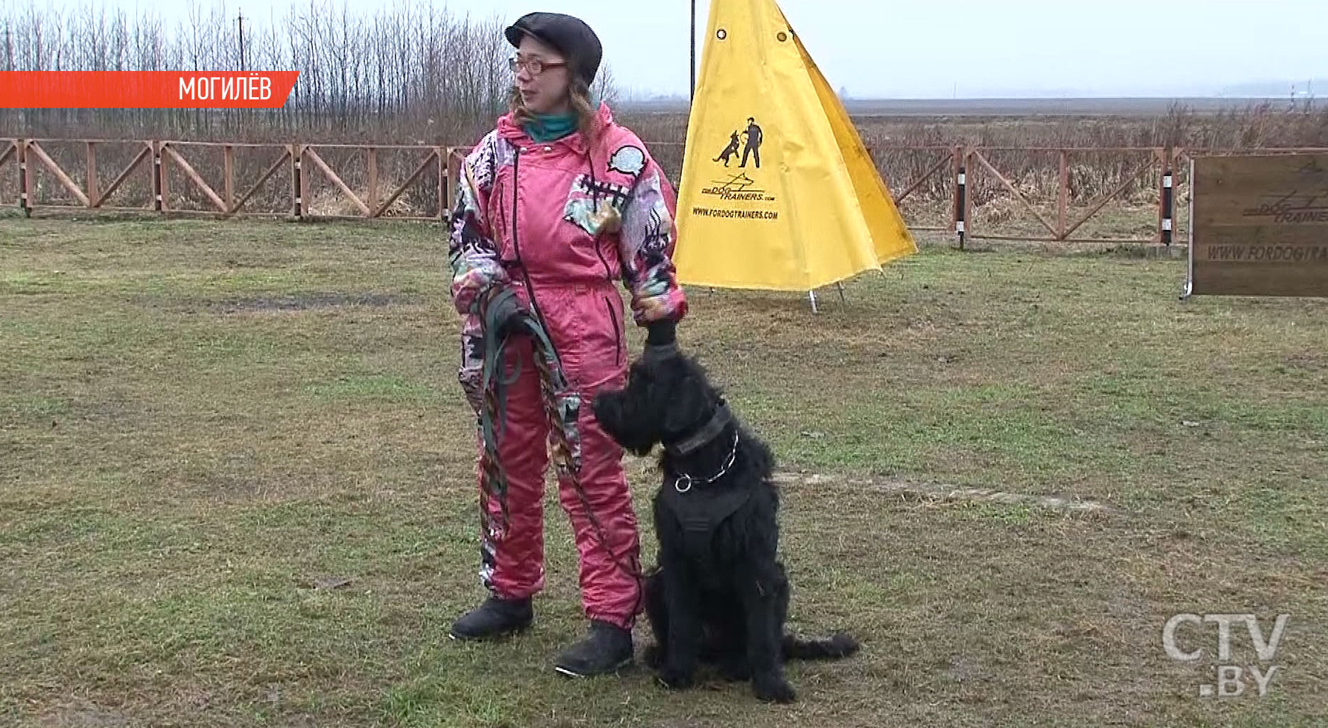 Это достаточно серьезная собака, она должна быть воспитана: в Беларуси открылась первая школа кинологов-фигурантов-21