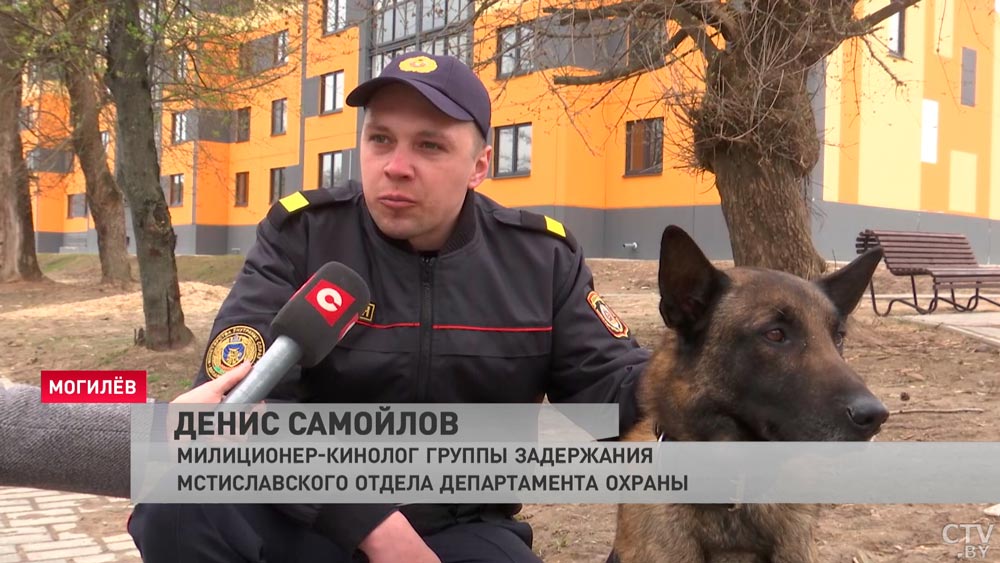«Дзен» с хозяином и работа только на позитиве. Как воспитывают служебных собак?-31