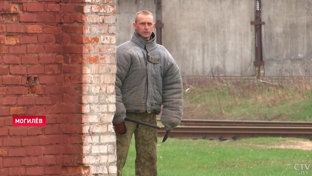 «Дзен» с хозяином и работа только на позитиве. Как воспитывают служебных собак?-28