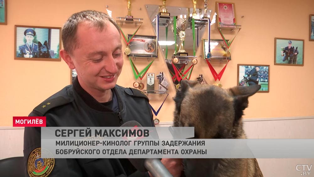 «Дзен» с хозяином и работа только на позитиве. Как воспитывают служебных собак?-22