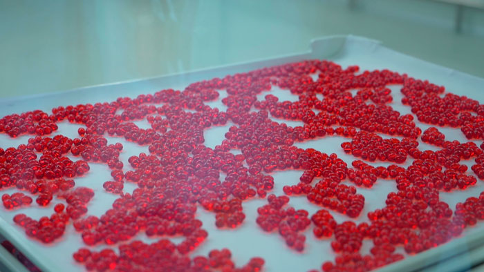 Экспорт лекарств превысил 206 млн долларов! Как развивается отечественная фармакология?