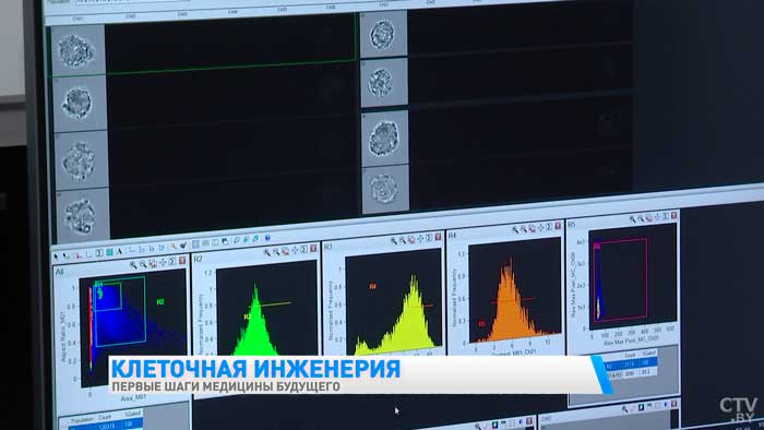 Омоложение кожи, борьба с раком. С какими заболеваниями может справиться клеточная инженерия?-4