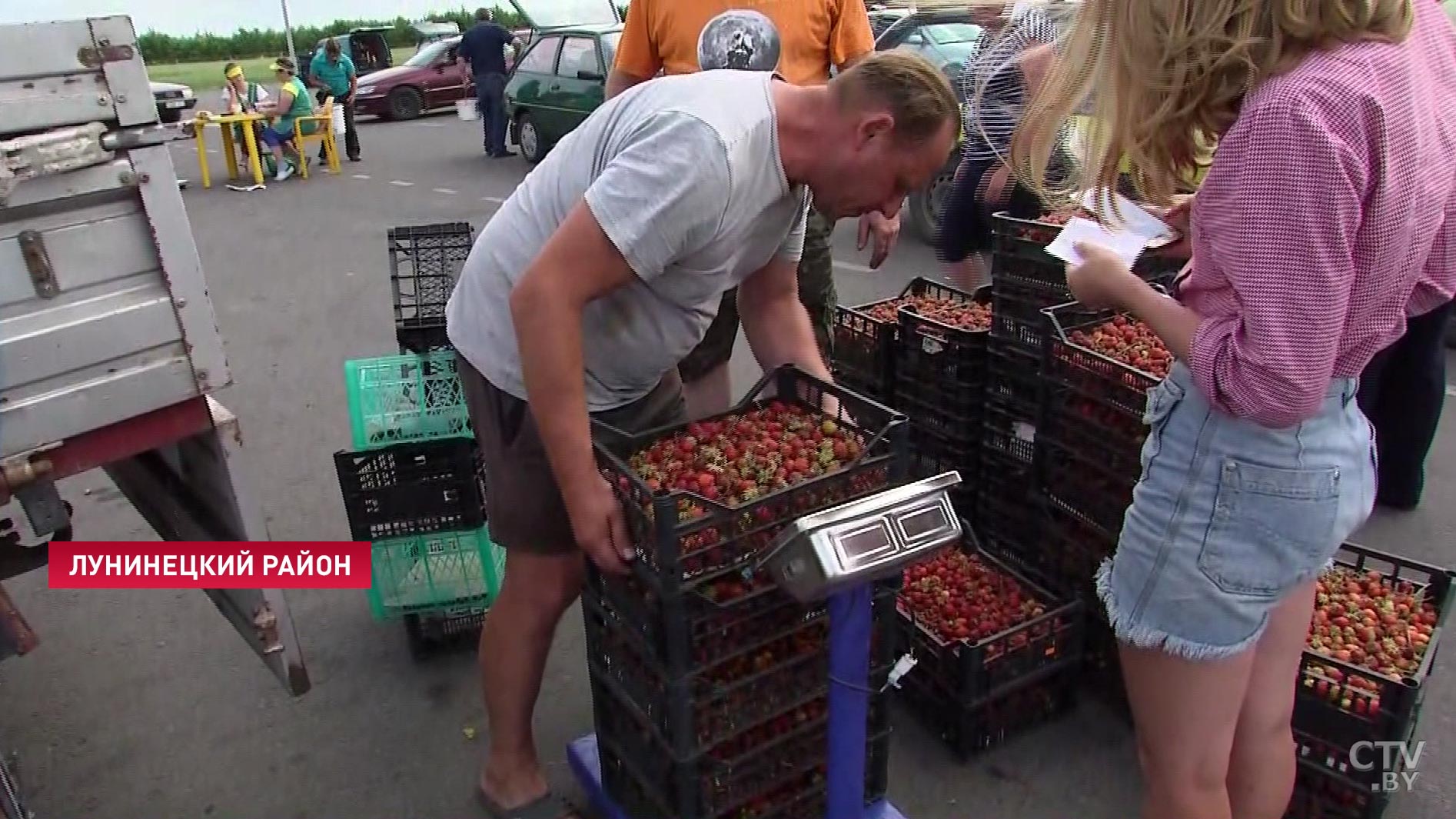 «За копейки отдавать жалко её»: небывалый урожай клубники обернулся рекордным падением цен-16