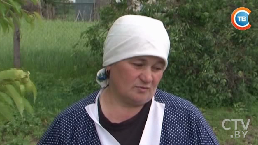 Из-за поздней весны сезон клубники в Беларуси начнется как минимум на неделю позже-1