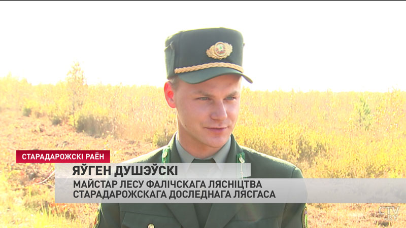 В Беларуси начался сезон клюквы: как лучше собирать ягоду?-4 В Беларуси начался сезон клюквы: как лучше собирать ягоду?-4