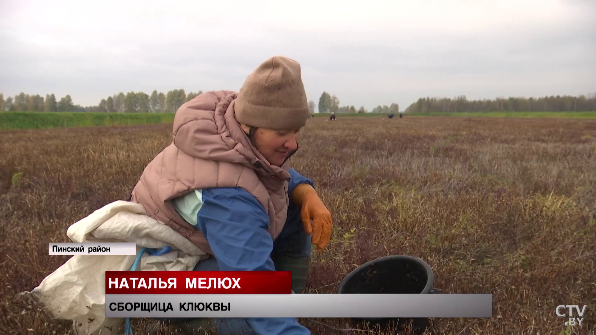 Как белорусская клюква попадает на стол к английской королеве? Рассказали на полесском предприятии-16