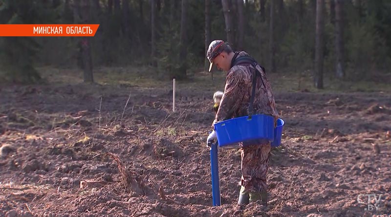 Андрей Кобяков и его заместители приняли участие в высадке деревьев в Акинчицком лесничестве-13