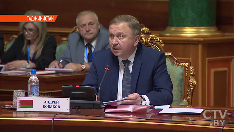 Кобяков и Медведев обсудили в Душанбе вопросы сотрудничества Беларуси и России 