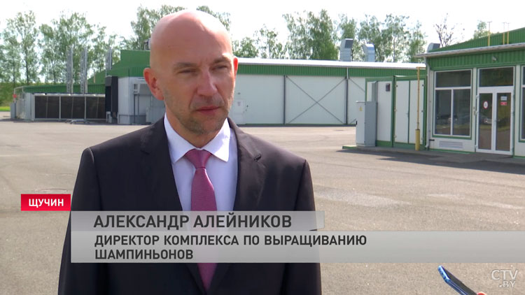 Старые дома под снос! Вопросы пустующих земель и объектов возьмут под жёсткий контроль-4 Старые дома под снос! Вопросы пустующих земель и объектов возьмут под жёсткий контроль-4