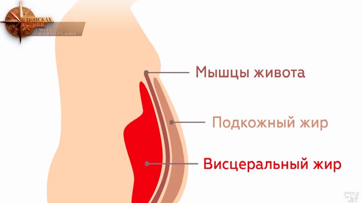 «Есть грань». Когда бодипозитив перестаёт быть разумным? Ответили эксперты-19