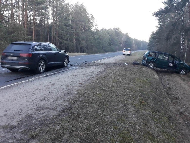 В Пинском районе Audi врезался в пропускавший кабана Volkswagen-1