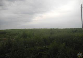 В Гомельском районе спасатели помогли женщине, которая упала в колодец 
