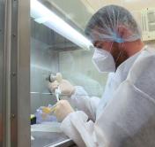 Количество тестирований на коронавирус в Бресте увеличили втрое, закупили дополнительное оборудование