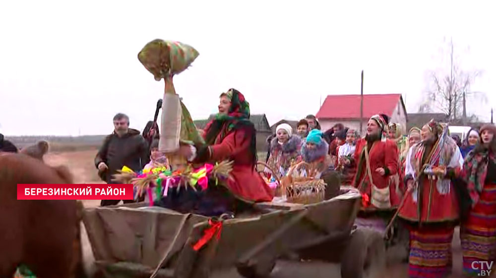 Праздник Щедрец воссоздают в Беларуси по старинным традициям. В обряде участвует даже «беременная лошадь»-1