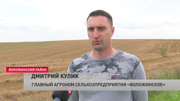 «Каждый год нам помогают соседние районы». В Минской области осталось убрать менее 10% площадей-4