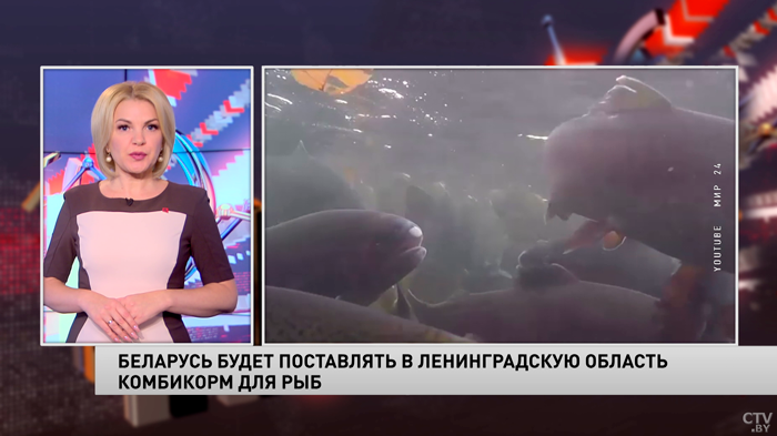 Беларусь будет поставлять комбикорм для ценных пород рыб в Ленинградскую область-1