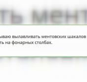 Превозносят как очередную сакральную жертву. Вот какие комментарии пишут в чатах по поводу погибшего в Речице