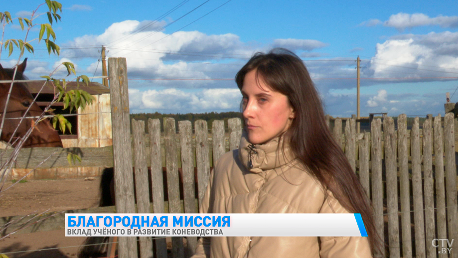 «Неприхотливы к условиям содержания». Рассказываем о белорусской породе лошадей-7 «Неприхотливы к условиям содержания». Рассказываем о белорусской породе лошадей-7