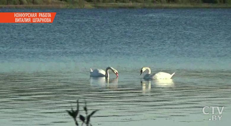 «Хотим, чтобы каждый белорус рассказал о своей малой родине»: телеканал СТВ проводит конкурс на лучшую визуальную оду-40