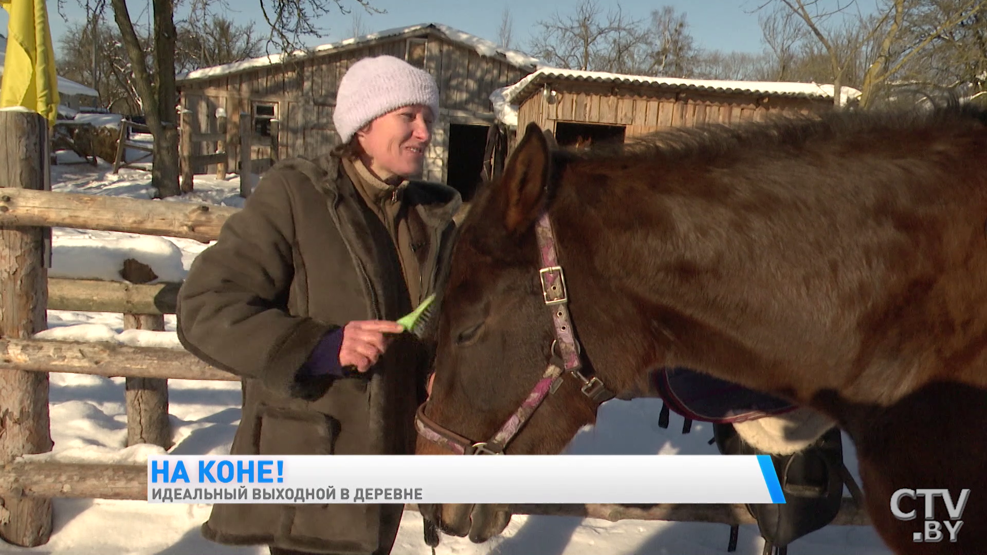 «Они очень любят, когда их массажируют». Показываем белорусскую агроусадьбу, где можно покататься на лошадях-16