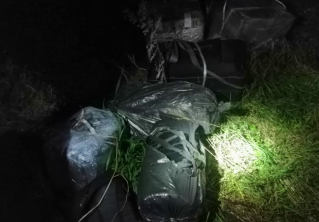 На границе Беларуси задержали группу контрабандистов. В неё входил полицейский из Украины
