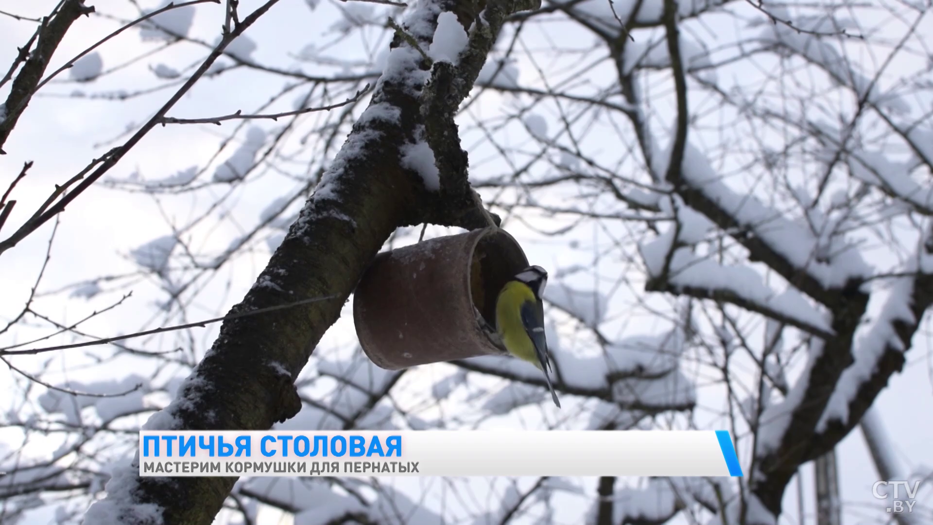 Чем можно кормить птиц зимой и как самому сделать кормушку для пернатых?-16