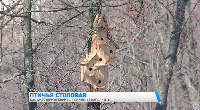 Нужно составлять зерновую смесь. Как смастерить кормушку и чем её наполнить?-10