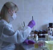 Ситуация с коронавирусом в Беларуси на 8 июня