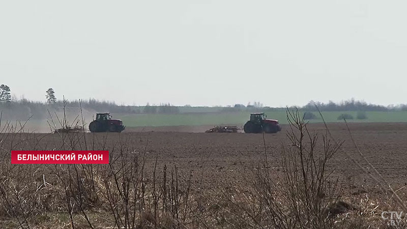 «Вкладывать душу в коровок своих». Аграрии из Белыничского района рассказывают о своей работе-3