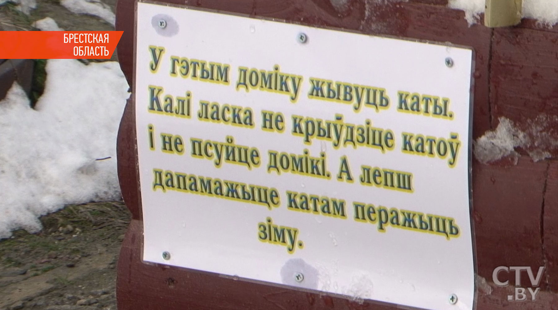 Были бездомными, стали домоседами: в Кобрине волонтёры установили теплые домики для уличных котов -7