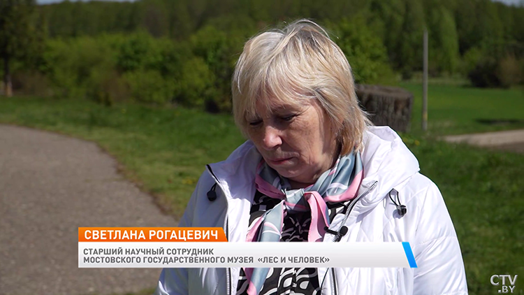 Снаружи – скромный деревянный храм, внутри – барочные алтари и старинный орган. Посмотрите на костёл в Плебановцах-7