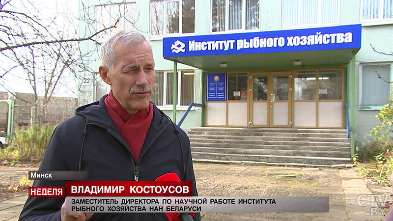 Почему белорусская рыба не уступает норвежской, и как зарыбляют водоёмы в стране?-10