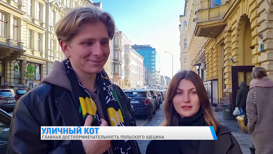 «Согревает моё сердце». Кот Гацек – польская достопримечательность. Вот что говорят туристы-4