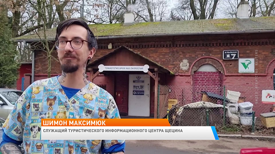 «Согревает моё сердце». Кот Гацек – польская достопримечательность. Вот что говорят туристы-10