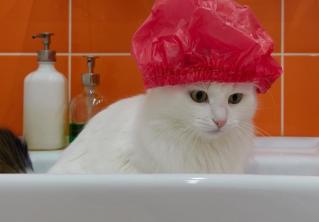 Геля для душа бывает много. Рассказываем о ежедневных привычках, которые вредят здоровью