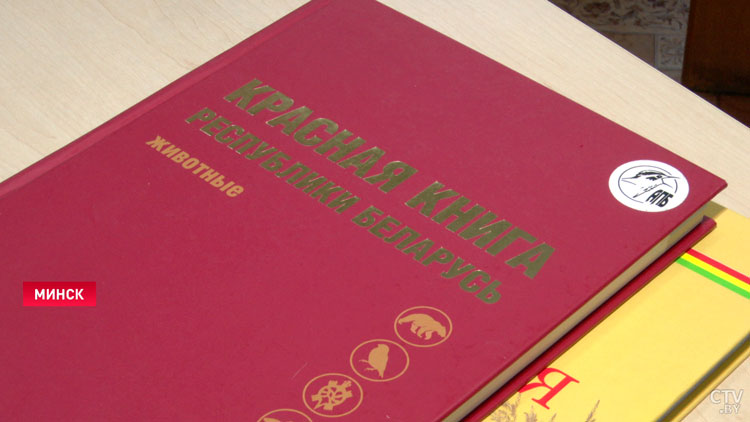 Новое издание Красной книги готовят в Беларуси. Бурый медведь рискует покинуть страницы-1