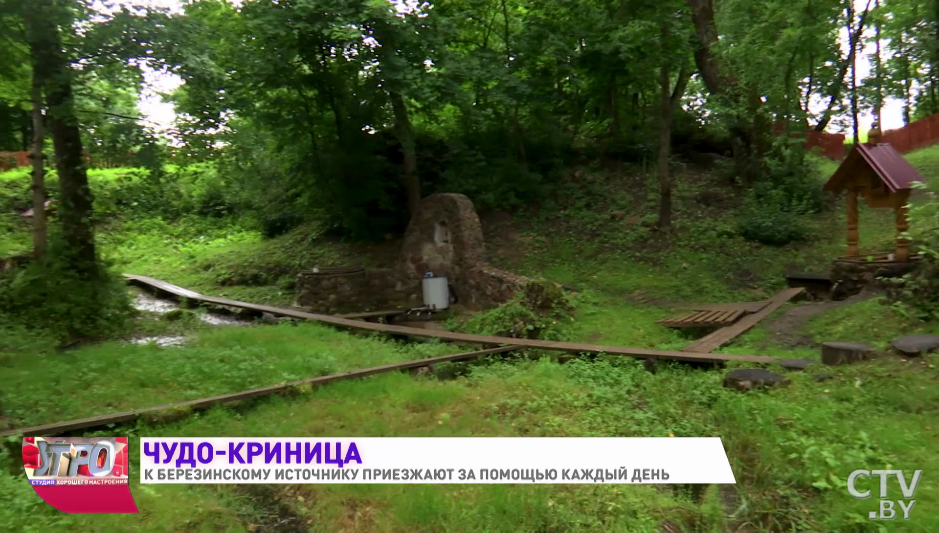 «Фактически вся таблица Менделеева в лучших её проявлениях». Рассказываем о целебной кринице под Березино-16