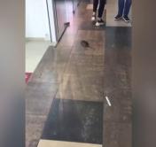 Крыса гуляла по ТЦ в Минске. Грызун оказался домашним