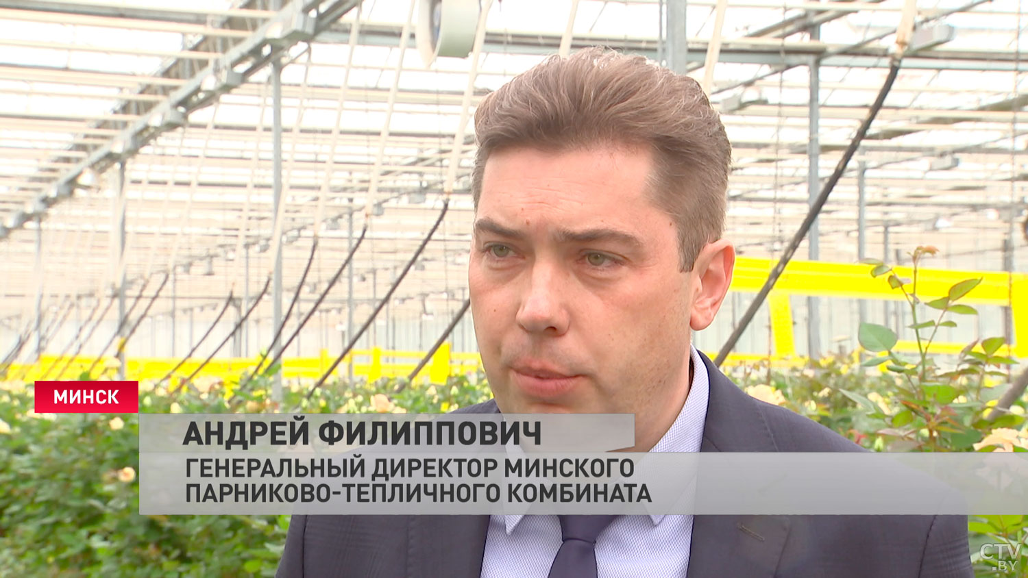 Без огурцов и томатов минчане точно не останутся. Смотрите, где ежегодно выращивают 3000 тонн овощей и зелени-19