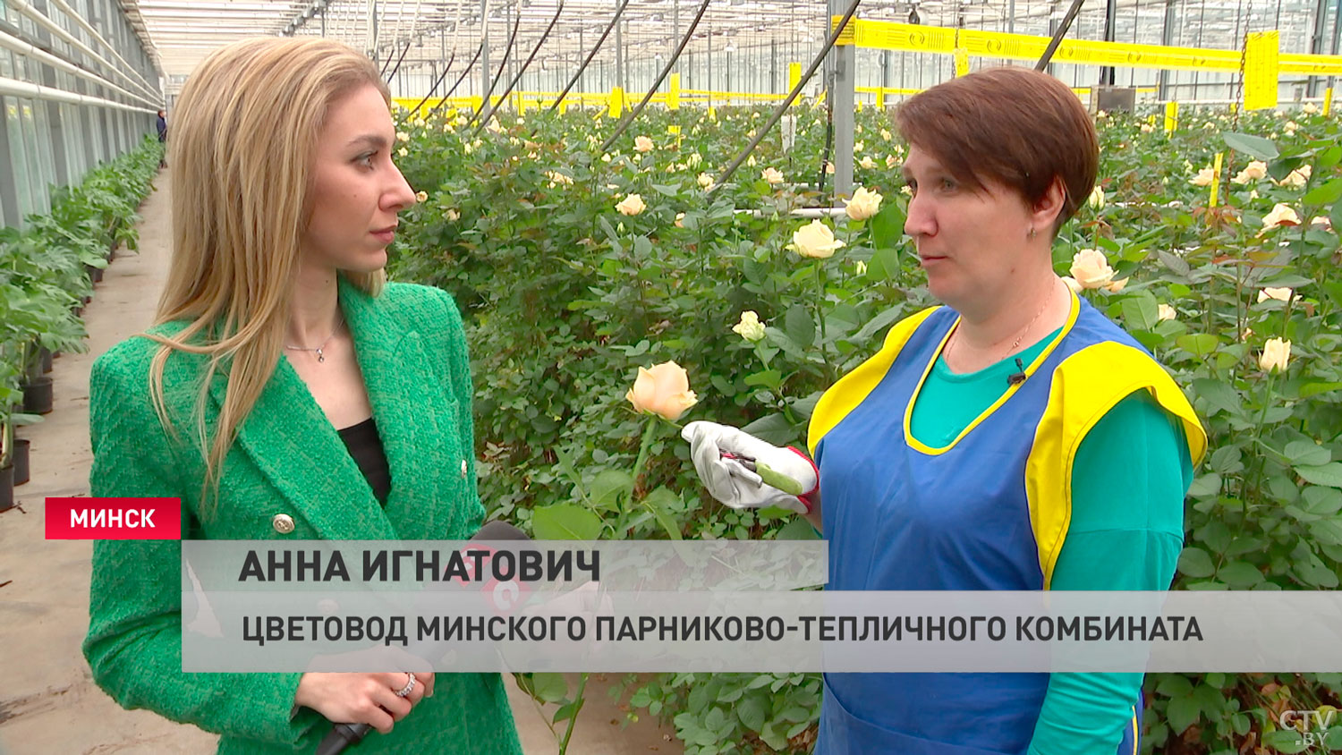 Без огурцов и томатов минчане точно не останутся. Смотрите, где ежегодно выращивают 3000 тонн овощей и зелени-4