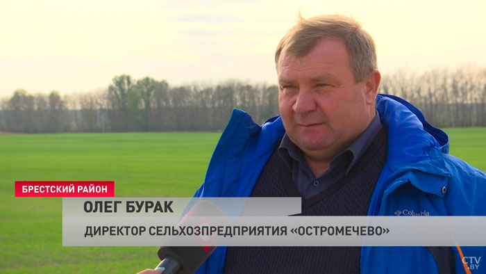 Исторический максимум. В Брестской области рассчитывают собрать небывалый урожай кукурузы-22 Исторический максимум. В Брестской области рассчитывают собрать небывалый урожай кукурузы-22