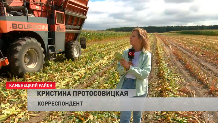 В Брестской области приступили к массовой уборке кукурузы. Какие планы на урожай-2022?-13