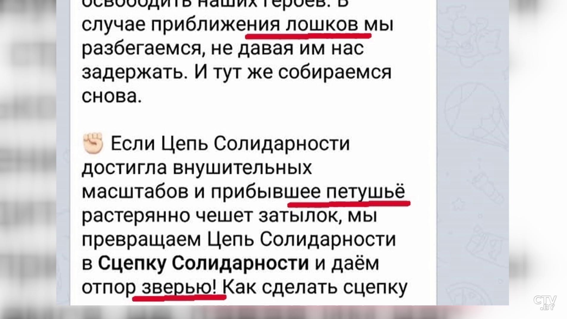 «Мы интересны только США и только в качестве временного плацдарма против России, по типу Украины». Авторская рубрика Андрея Лазуткина-16