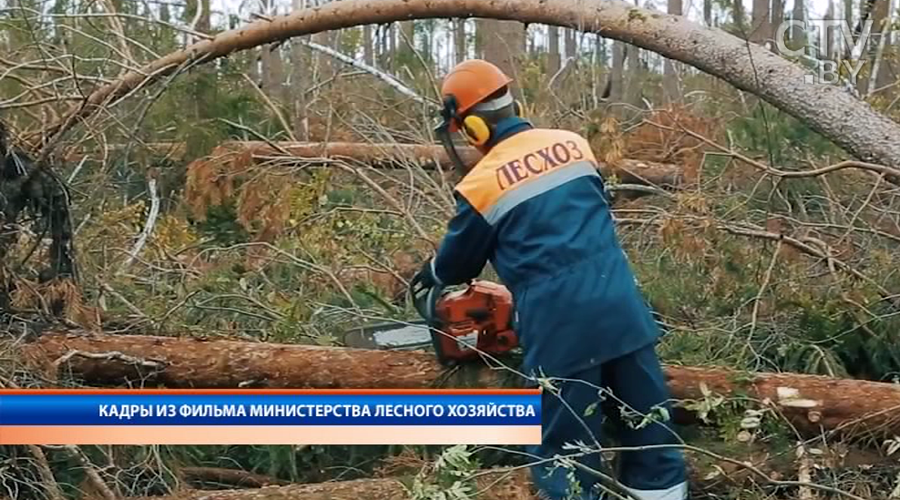   На Полесье завершают восстановление территорий, разрушенных июльским ураганом -4