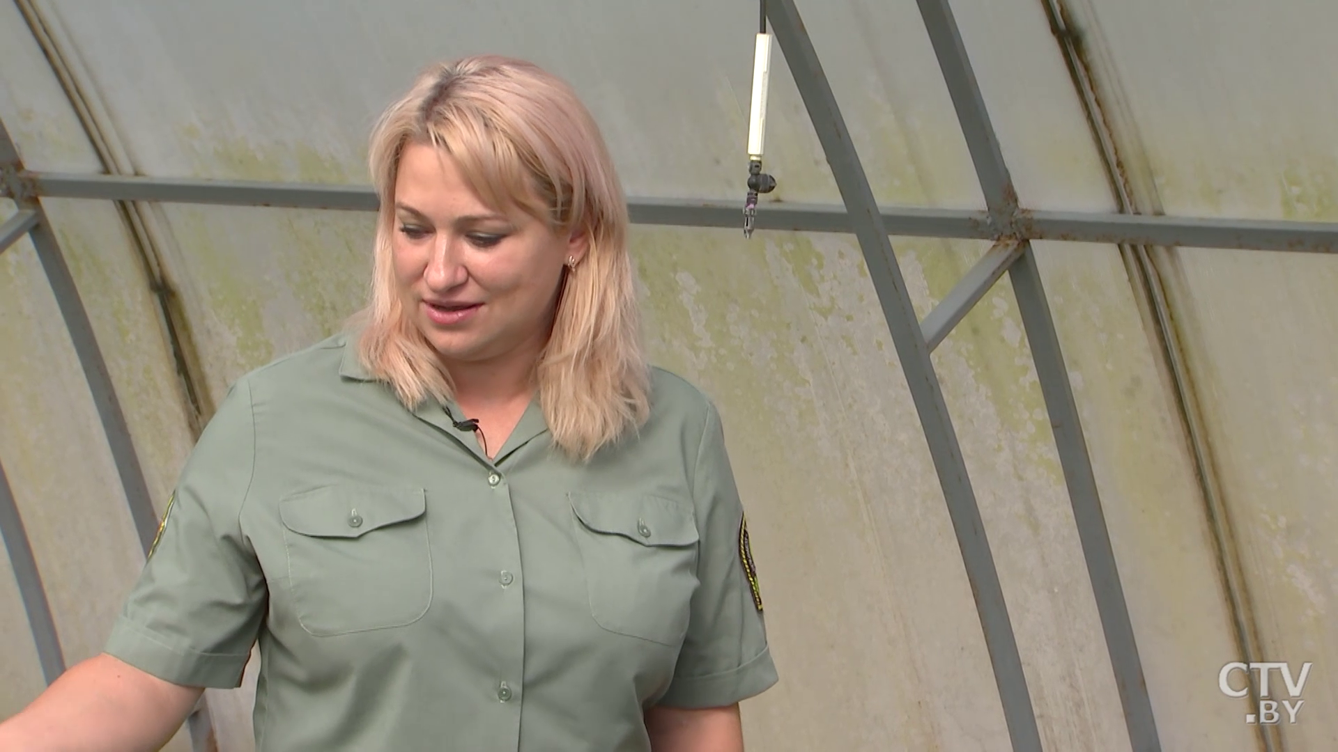 «Благодаря закрытому грунту деревья растут быстрее». В Крупском лесхозе поделились секретом выращивания елей и сосен-34