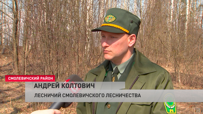 «Работаем с каждым предприятием». Минлесхоз приглашает принять участие в акции «Неделя леса»-4