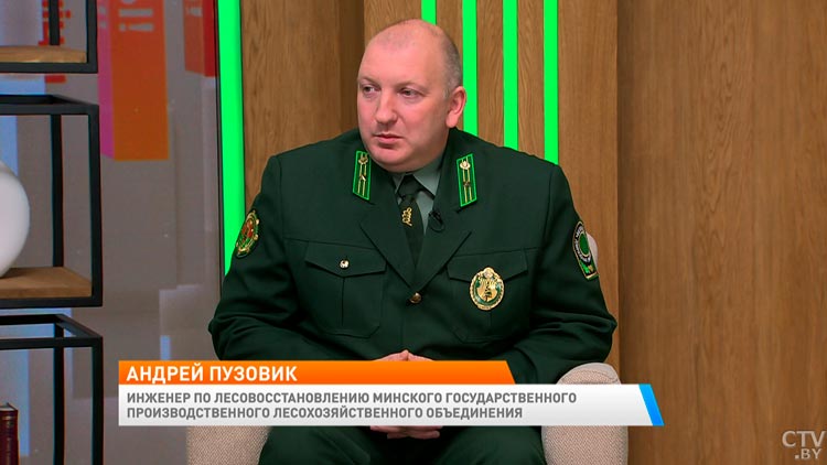 21 октября в Беларуси пройдёт акция «Аднавім лясы разам». Как стать участником?-1 21 октября в Беларуси пройдёт акция «Аднавім лясы разам». Как стать участником?-1