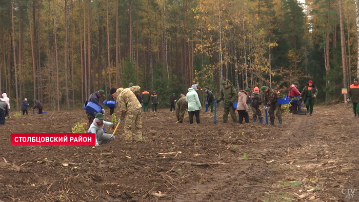 «Мы это делаем каждый год». Сотрудники КГК приняли участие в республиканской акции по восстановлению лесов-10