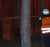 В Германии горят 600 гектаров леса
